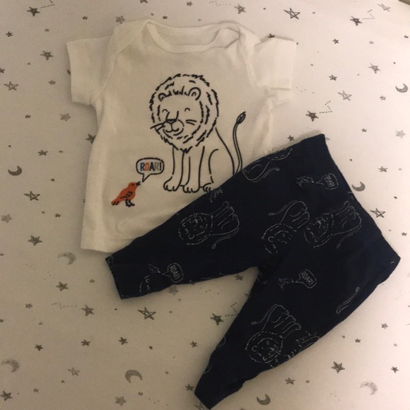 Lion set - Picture 1 of 1